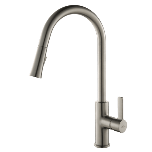 Blossom Single Handle Pull Down Kitchen Faucet – F01 201