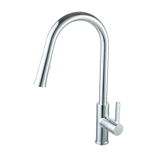 Blossom Single Handle Pull Down Kitchen Faucet – F01 201
