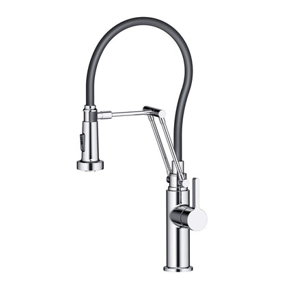 Blossom Single Handle Pull Out Kitchen Faucet – F01 208