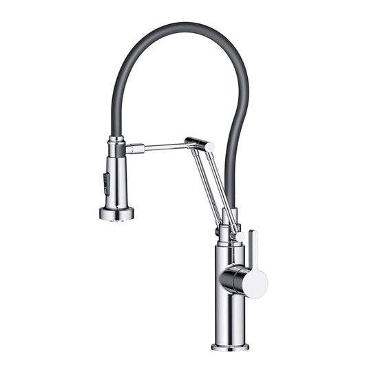 Blossom Single Handle Pull Out Kitchen Faucet – F01 208