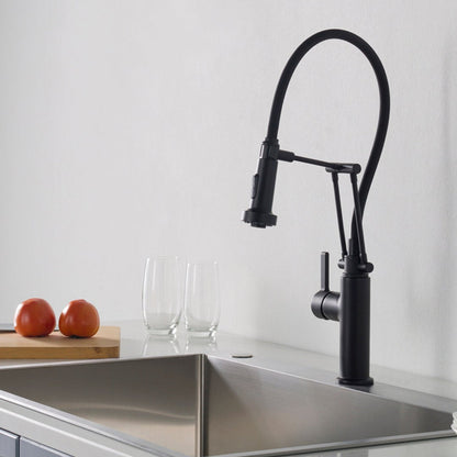 Blossom Single Handle Pull Out Kitchen Faucet – F01 208