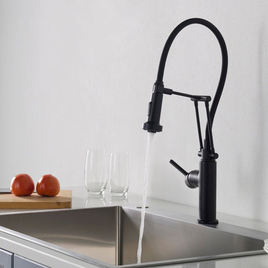 Blossom Single Handle Pull Out Kitchen Faucet – F01 208