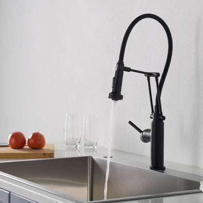 Blossom Single Handle Pull Out Kitchen Faucet – F01 208