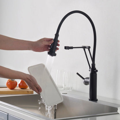 Blossom Single Handle Pull Out Kitchen Faucet – F01 208
