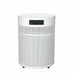 Airpura R400 Air Purifier