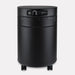 Airpura T700 Air Purifier for Smoke