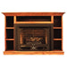 Buck Stove Model 384 Vent Free Gas Fireplace