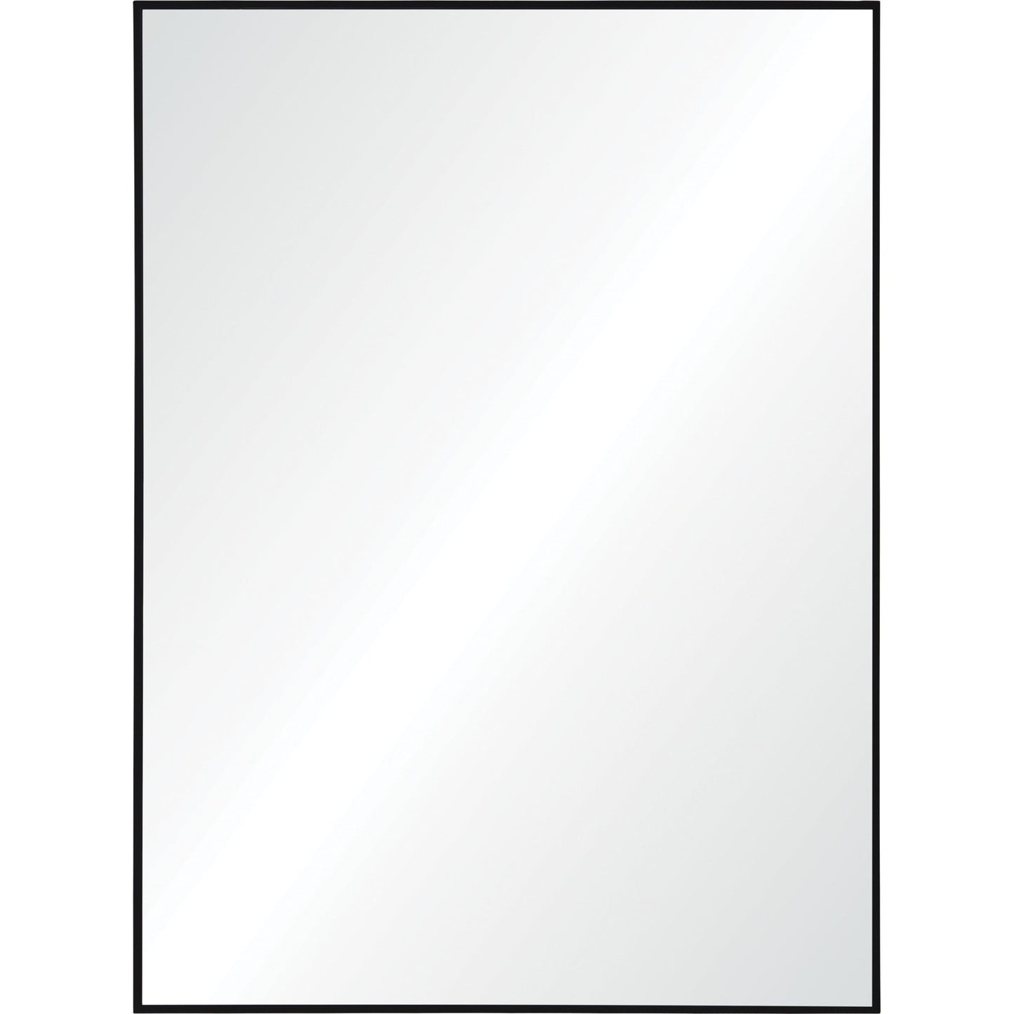 RenWil Raizel Rectangle Mirror NDD219M011 - MT2345