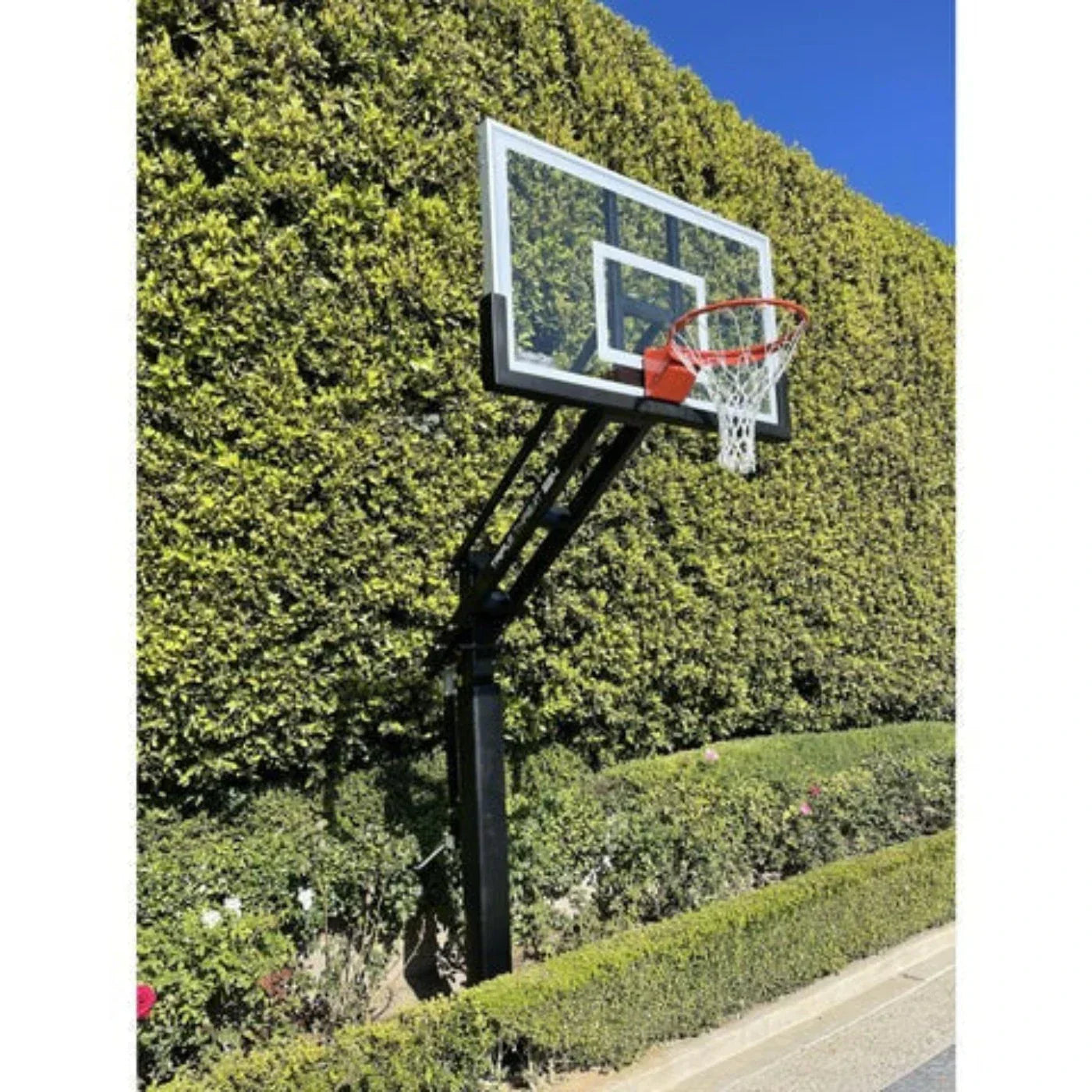 Ironclad Triple Threat 36x60 Adjustable In-Ground Basketball Hoop - TPT554-LG