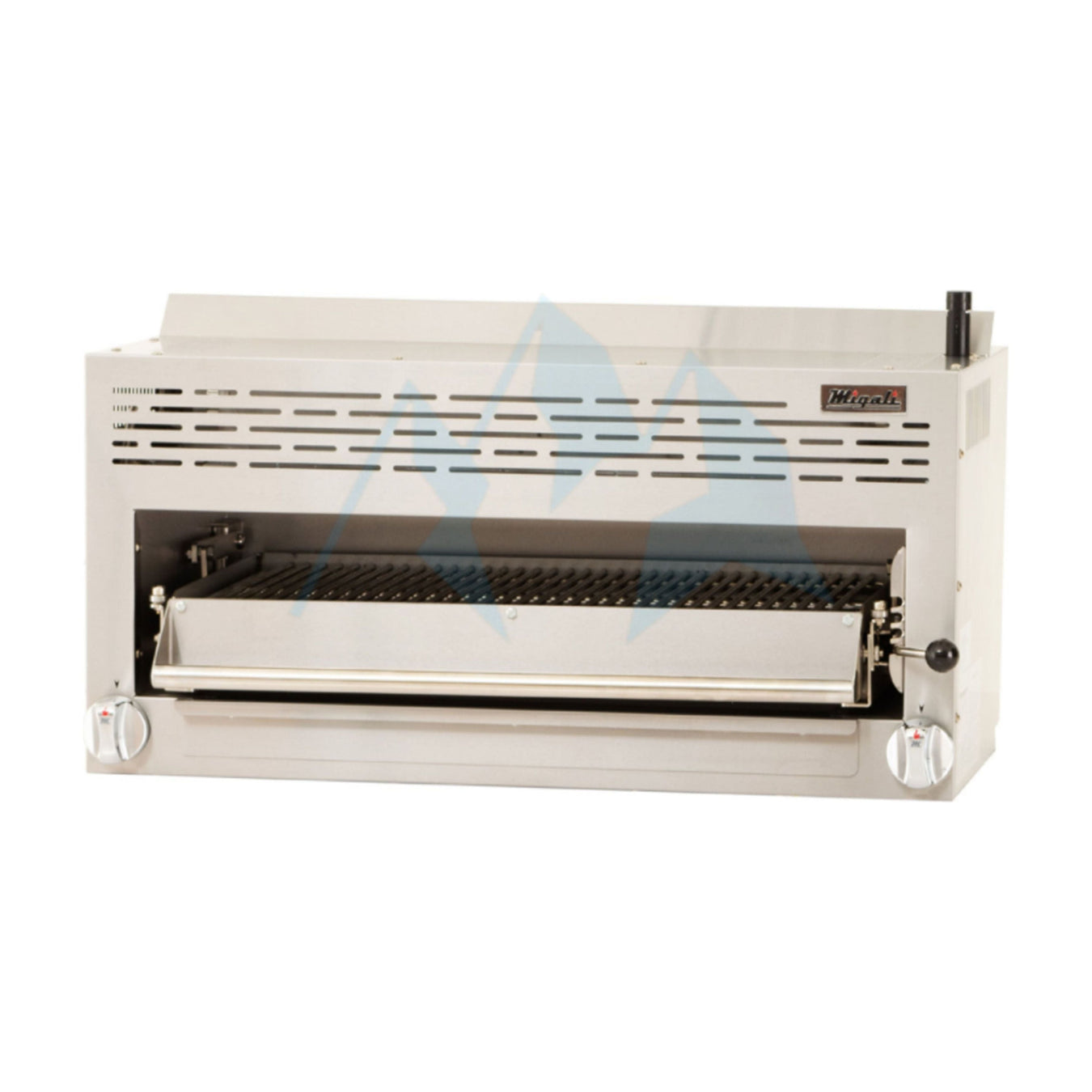 Migali Salamander Broilers