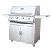 Renaissance Cooking Systems 32" Premier Series Portable Grill