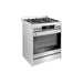 Robam 30-Inch 5 Cu. Ft. Oven Dual Fuel Gas Range with 5 Sealed Brass Burners in Stainless Steel (Robam-G517K)