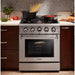 Thor Kitchen 30 in. 4.2 Cu. Ft. Professional Natural Gas Range in Stainless Steel HRG3080U