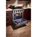 Thor Kitchen 30 in. 4.2 Cu. Ft. Professional Natural Gas Range in Stainless Steel HRG3080U