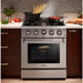 Thor Kitchen 30 in. 4.2 Cu. Ft. Professional Propane Gas Range in Stainless Steel HRG3080ULP