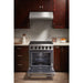 Thor Kitchen 30 in. 4.55 Cu. Ft. Professional Natural Gas Range in Stainless Steel LRG3001U