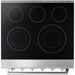 Thor Kitchen 30 In. Electric Range and 30 In. Range Hood Appliance Package