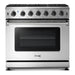 Thor Kitchen 36 in. 6.0 Cu. Ft Professional Natural Gas Range in Stainless Steel LRG3601U