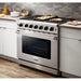 Thor Kitchen 36 in. 6.0 Cu. Ft Professional Natural Gas Range in Stainless Steel LRG3601U