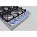 Thor Kitchen 36 in. Drop-in Natural Gas Cooktop in Stainless Steel TGC3601