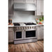 Thor Kitchen 48 in. 6.7 Cu. Ft. Professional Natural Gas Range in Stainless Steel HRG4808U