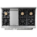 Thor Kitchen Professional 48 in. Gas Range, Range Hood Appliance Package