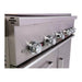 Whistler Prime 500 42" 5-Burner Freestanding Natural Gas Grill with Infrared Rear Burner