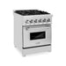 ZLINE 24 in. Professional Dual Fuel Range with Gas Burner and Electric Oven In Stainless Steel RA24