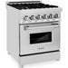 ZLINE 24 in. Professional Gas Burner/Electric Oven Stainless Steel Range with Brass Burners RA-BR-24