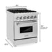 ZLINE 24 in. Professional Gas Burner/Electric Oven Stainless Steel Range with Brass Burners RA-BR-24