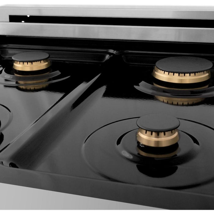 ZLINE 24 in. Professional Gas Burner/Electric Oven Stainless Steel Range with Brass Burners RA-BR-24