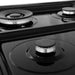 ZLINE 24 In. Professional Gas Range In Stainless Steel With Black Matte Door, RG-BLM-24