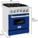 ZLINE 24 In. Professional Gas Range In Stainless Steel With Blue Matte Door, RG-BM-24