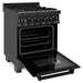 ZLINE 24 in. Professional Range with Gas Burner and Electric Oven In Black Stainless Steel with Brass Burners RAB-BR-24