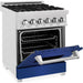 ZLINE 24 in. Professional Range with Gas Burner and Electric Oven In DuraSnow with Blue Matte Door RAS-BM-24