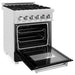 ZLINE 24-Inch 2.8 cu. ft. Dual Fuel Range with Gas Stove and Electric Oven In DuraSnow Stainless Steel and Black Matte Door RAS-BLM-24