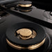 ZLINE 24 Inch Autograph Edition Gas Range in Stainless Steel with Gold Accents, RGZ-24-G