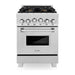 ZLINE 24 Inch Gas Range In DuraSnow Stainless Steel Range with Brass Burners RGS-SN-BR-24