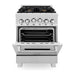 ZLINE 24 Inch Gas Range In DuraSnow Stainless Steel Range with Brass Burners RGS-SN-BR-24