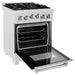 ZLINE 24 Inch Gas Range In DuraSnow Stainless Steel Range with Brass Burners RGS-SN-BR-24