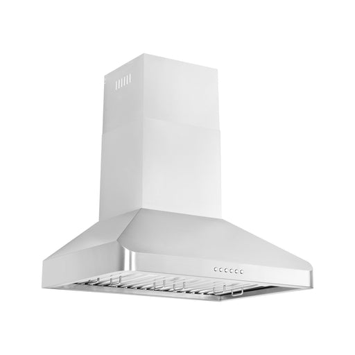 ZLINE 30 in. Alpine Series Professional Ducted Vent Wall Mount Range Hood In Stainless Steel ALP100WL-30