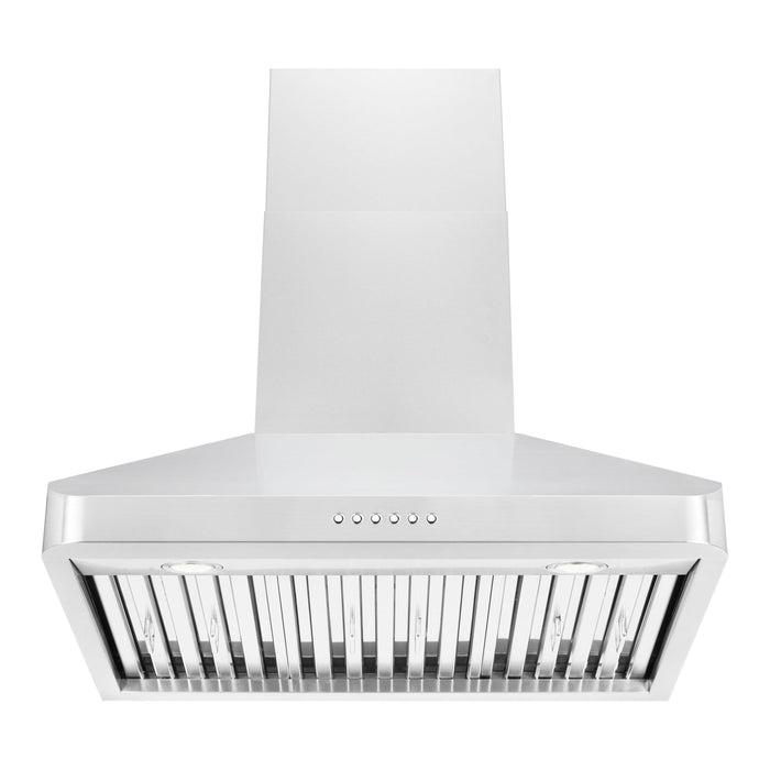 ZLINE 30 in. Alpine Series Professional Ducted Vent Wall Mount Range Hood In Stainless Steel ALP100WL-30