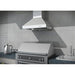 ZLINE 30 In. Convertible Outdoor Wall Mount Range Hood In Outdoor Approved Stainless Steel 667-304-30