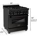 ZLINE 30 in. Kitchen Appliance Package with Black Stainless Steel Gas Range, Range Hood, Microwave Drawer and Dishwasher, 4KP-RGBRH30-MWDW