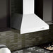 ZLINE 30 in. Professional Convertible Vent Wall Mount Range Hood In Stainless Steel 667-30