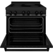 ZLINE 36 In. 4.6 cu. ft. Induction Range with Electric Oven in Black Stainless Steel, RAIND-BS-36