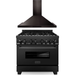 ZLINE 36 in. Black Stainless Steel Dual Fuel Range and 36 in. Range Hood Appliance Package