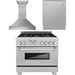 ZLINE 36 in. DuraSnow Stainless Steel Gas Range, Ducted Range Hood and Dishwasher Kitchen Appliance Package 3KP-RGSRH36-DW