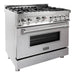 ZLINE 36 in. Gas Range with DuraSnow Door and 36 in. Range Hood Appliance Package 2KP-RGSNRH36