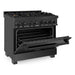 ZLINE 36 in. Professional Dual Fuel Range with Gas Burner and Electric Oven